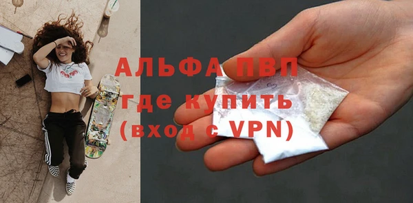 гидра Новозыбков