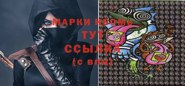 гидра Новозыбков