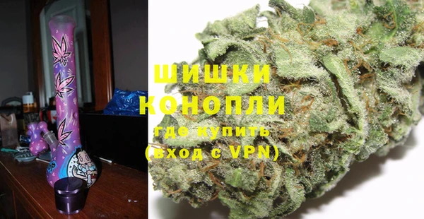 гидра Новозыбков