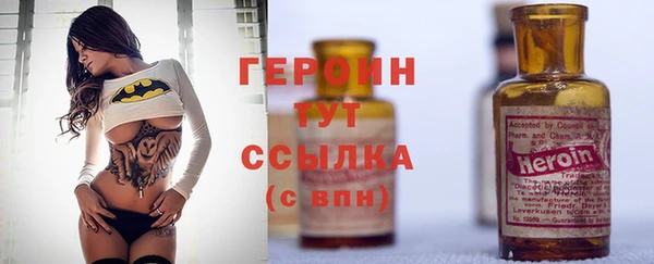 гидра Новозыбков