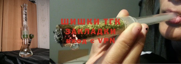 гидра Новозыбков