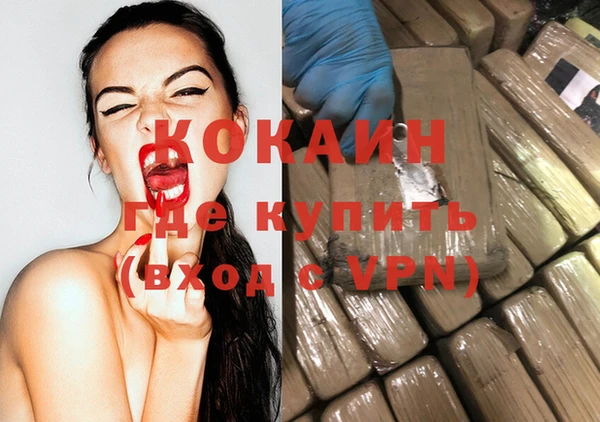 гидра Новозыбков