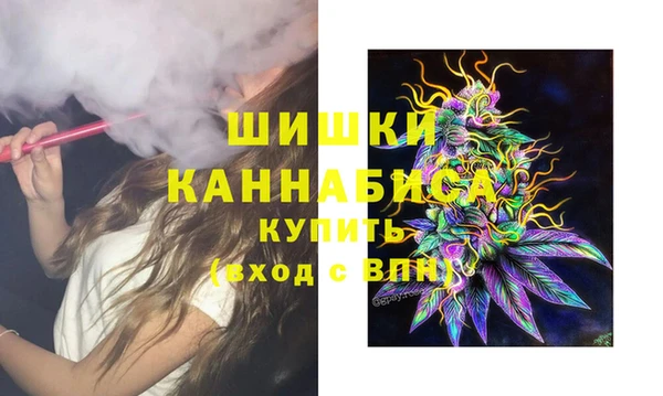 гидра Новозыбков