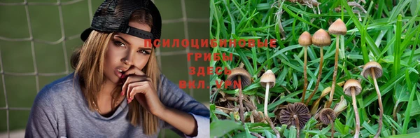 PSILOCYBIN Заволжье