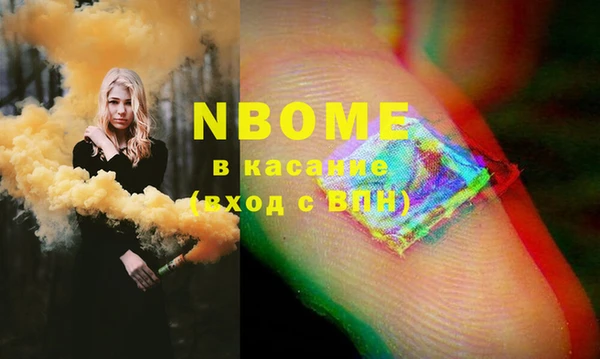гидра Новозыбков